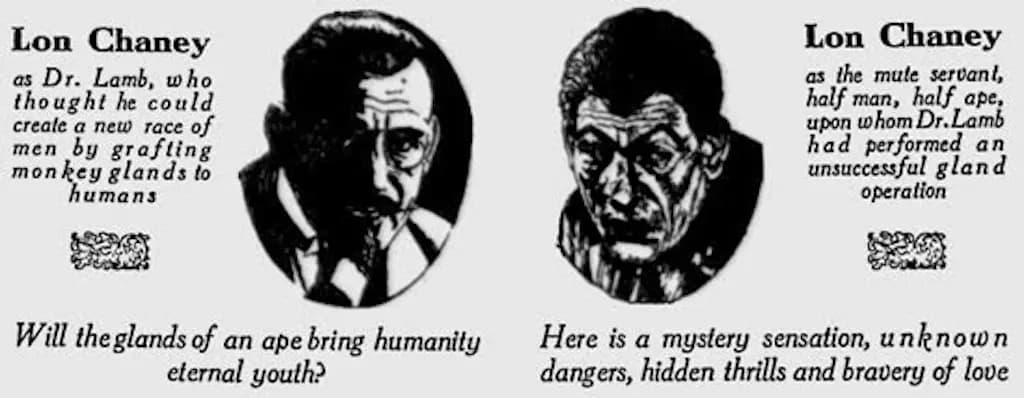 A Blind Bargain photo