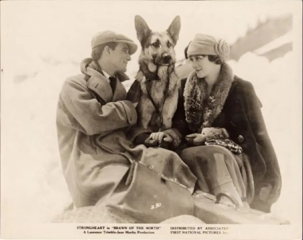 Brawn of the North photo