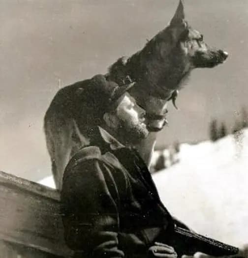 Brawn of the North photo