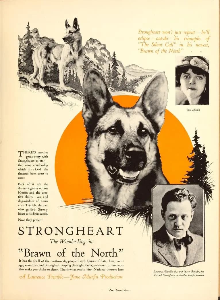 Brawn of the North photo