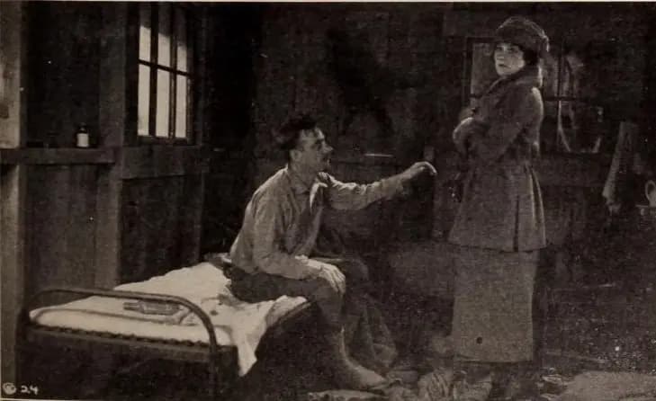 Brawn of the North photo