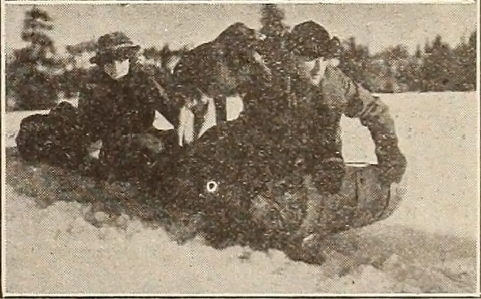 Brawn of the North photo