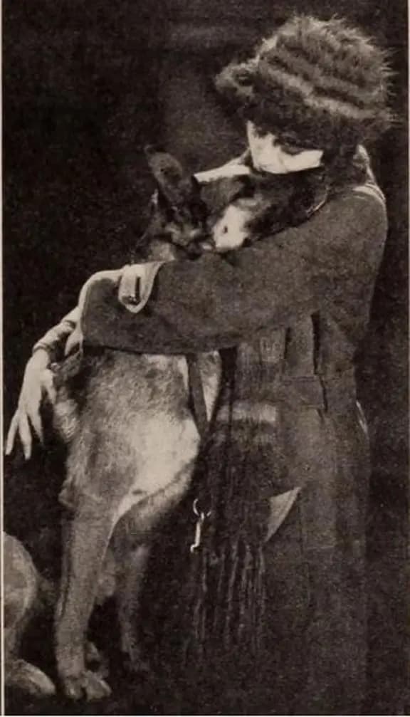 Brawn of the North photo