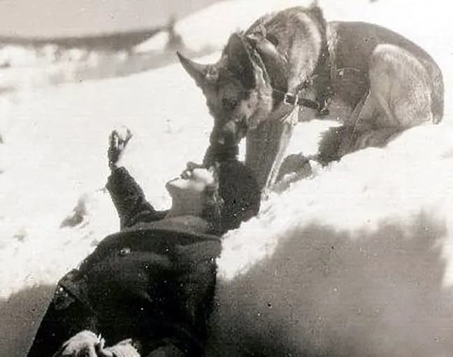 Brawn of the North photo