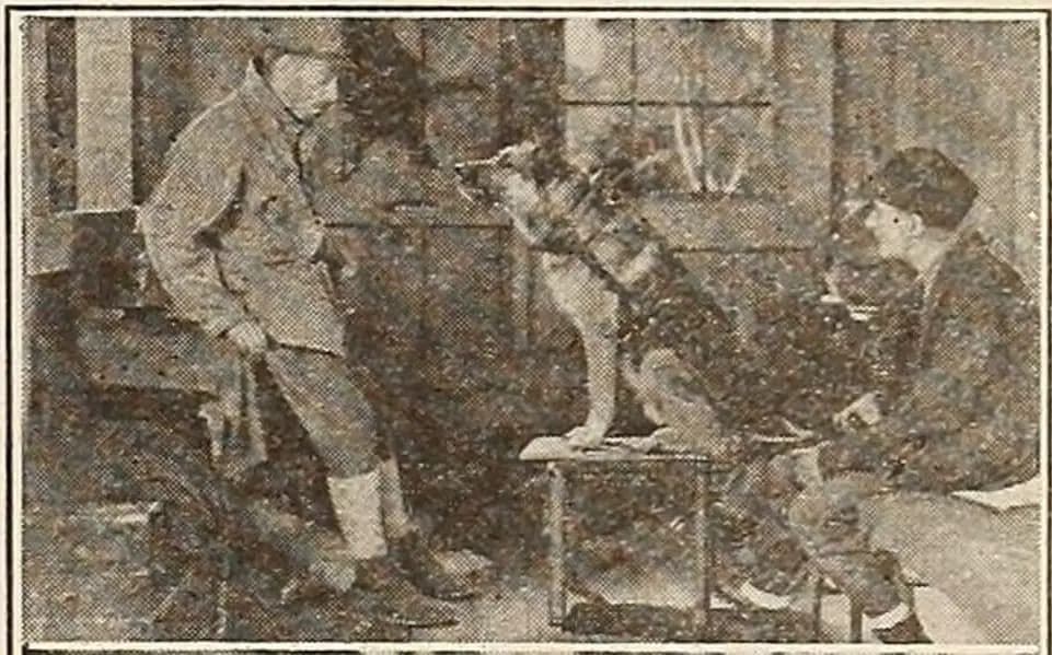 Brawn of the North photo