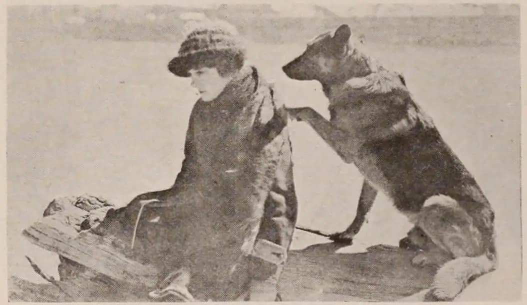 Brawn of the North photo