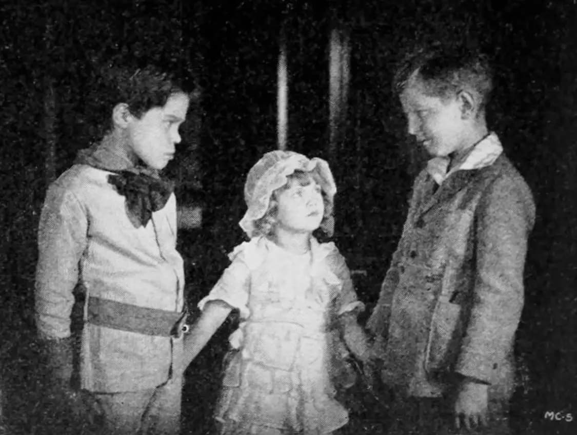 In the Name of the Law