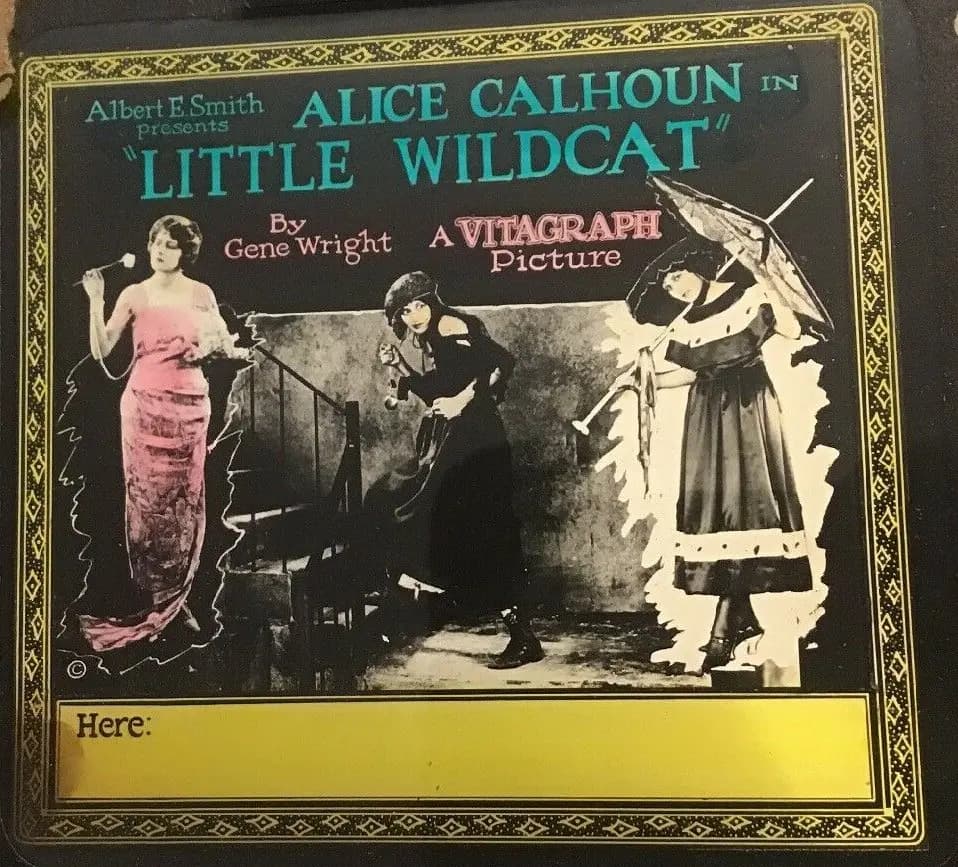 Little Wildcat photo