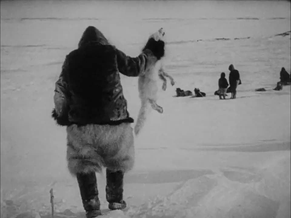 Nanook of the North photo