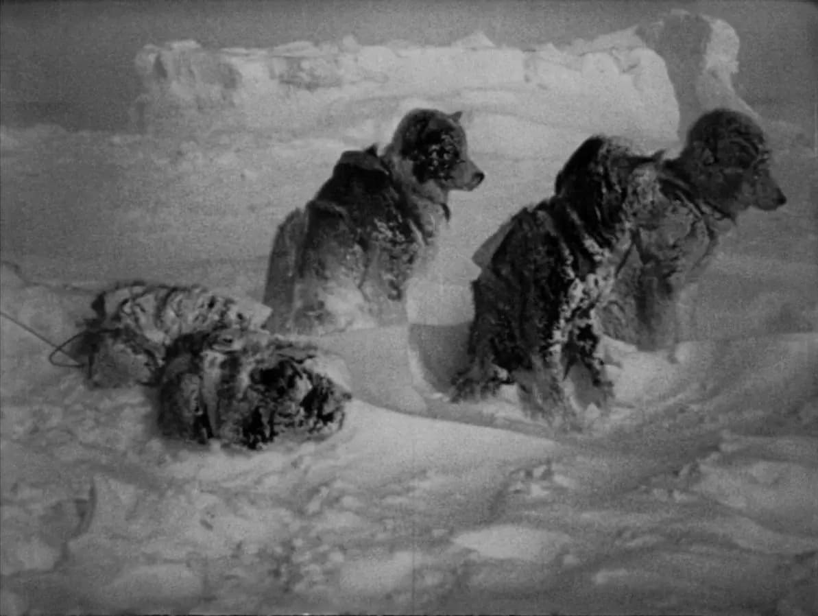 Nanook of the North photo
