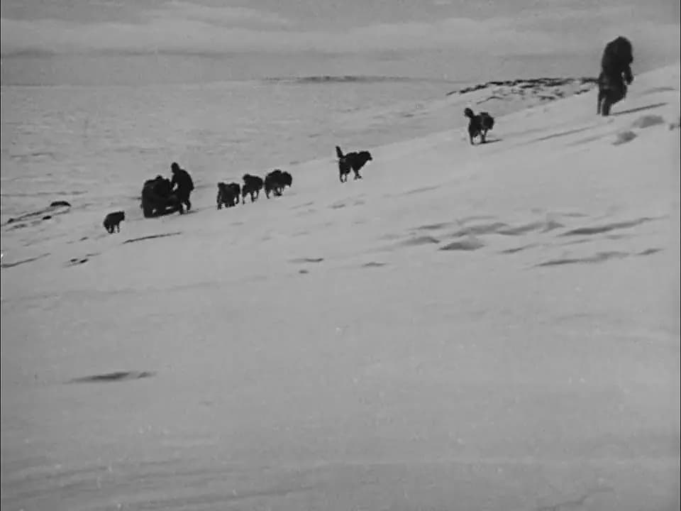 Nanook of the North photo