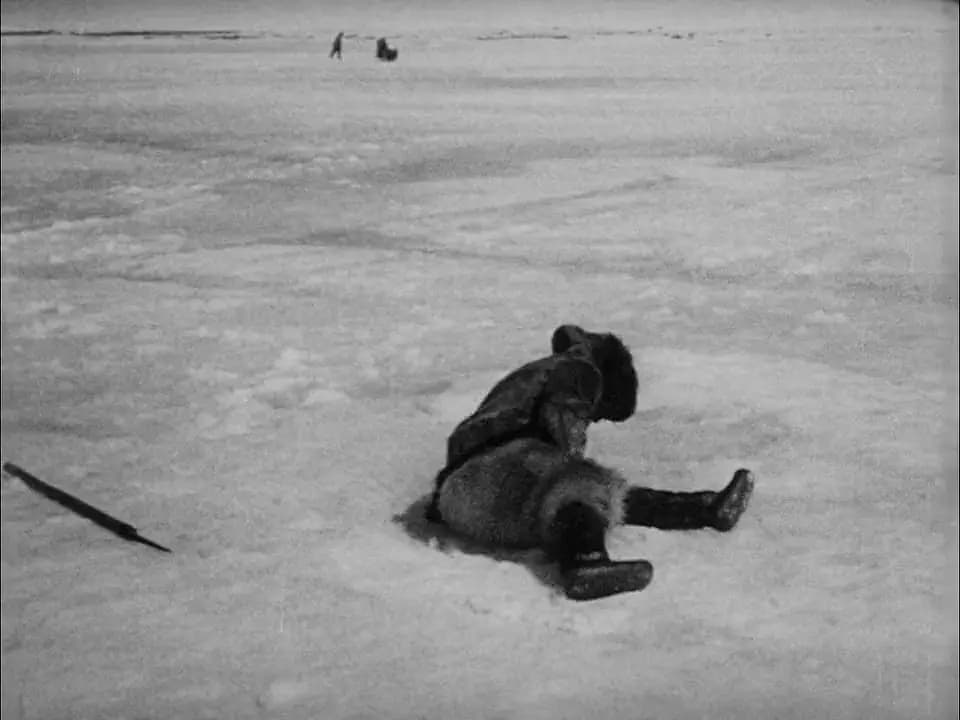 Nanook of the North