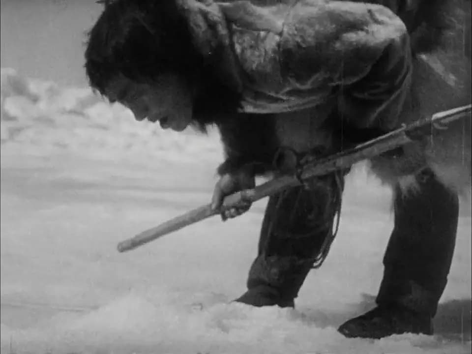 Nanook of the North