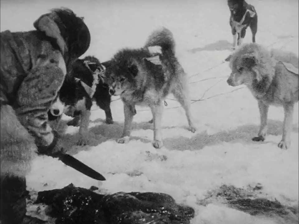 Nanook of the North
