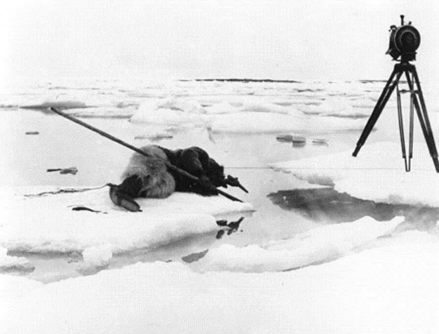 Nanook of the North