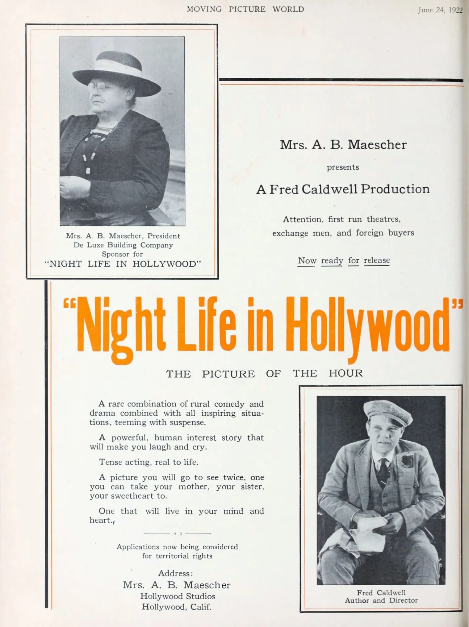 Night Life in Hollywood