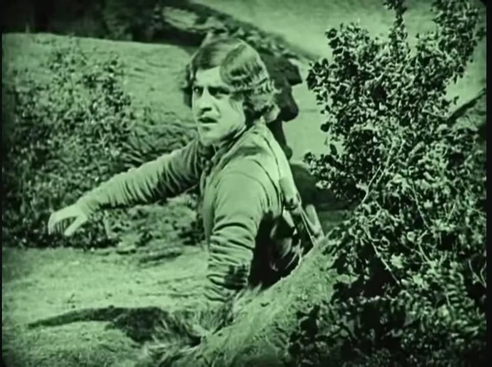 Robin Hood photo