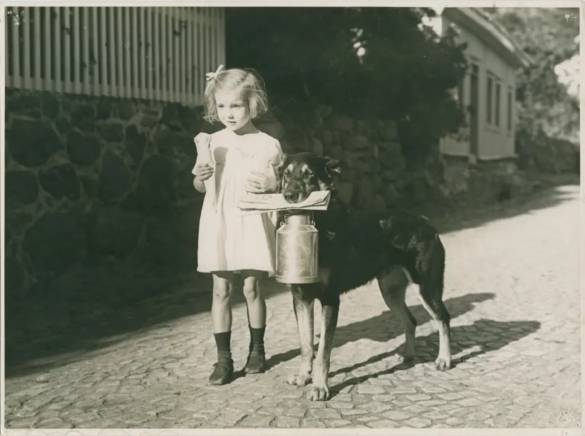 Boman på utställningen photo