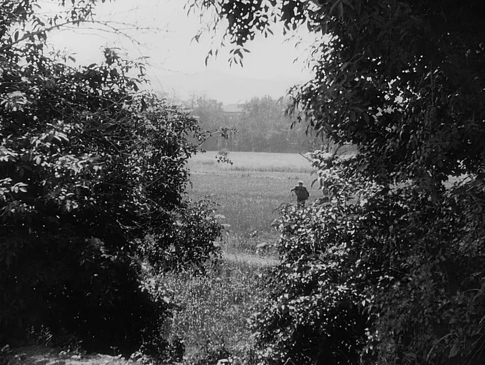 The Faithful Heart photo