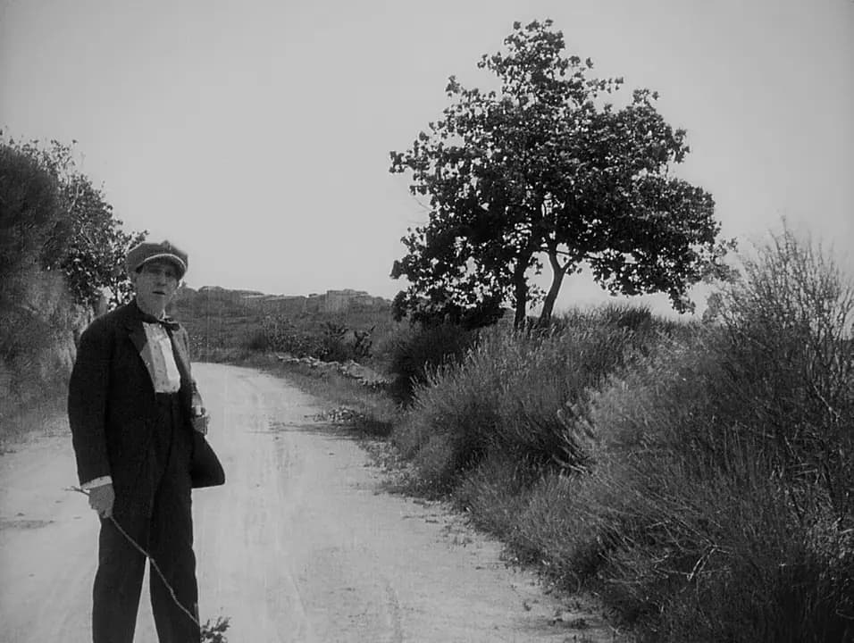 The Faithful Heart photo