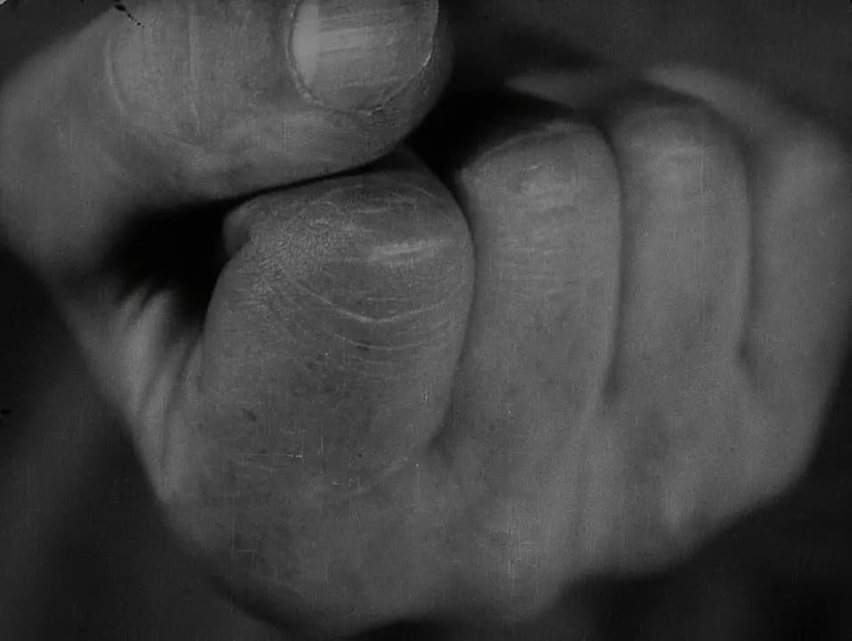 The Faithful Heart photo