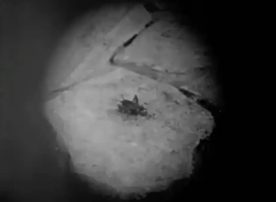 The Cricket on the Hearth