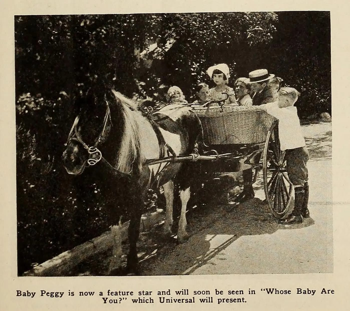 The Darling of New York photo