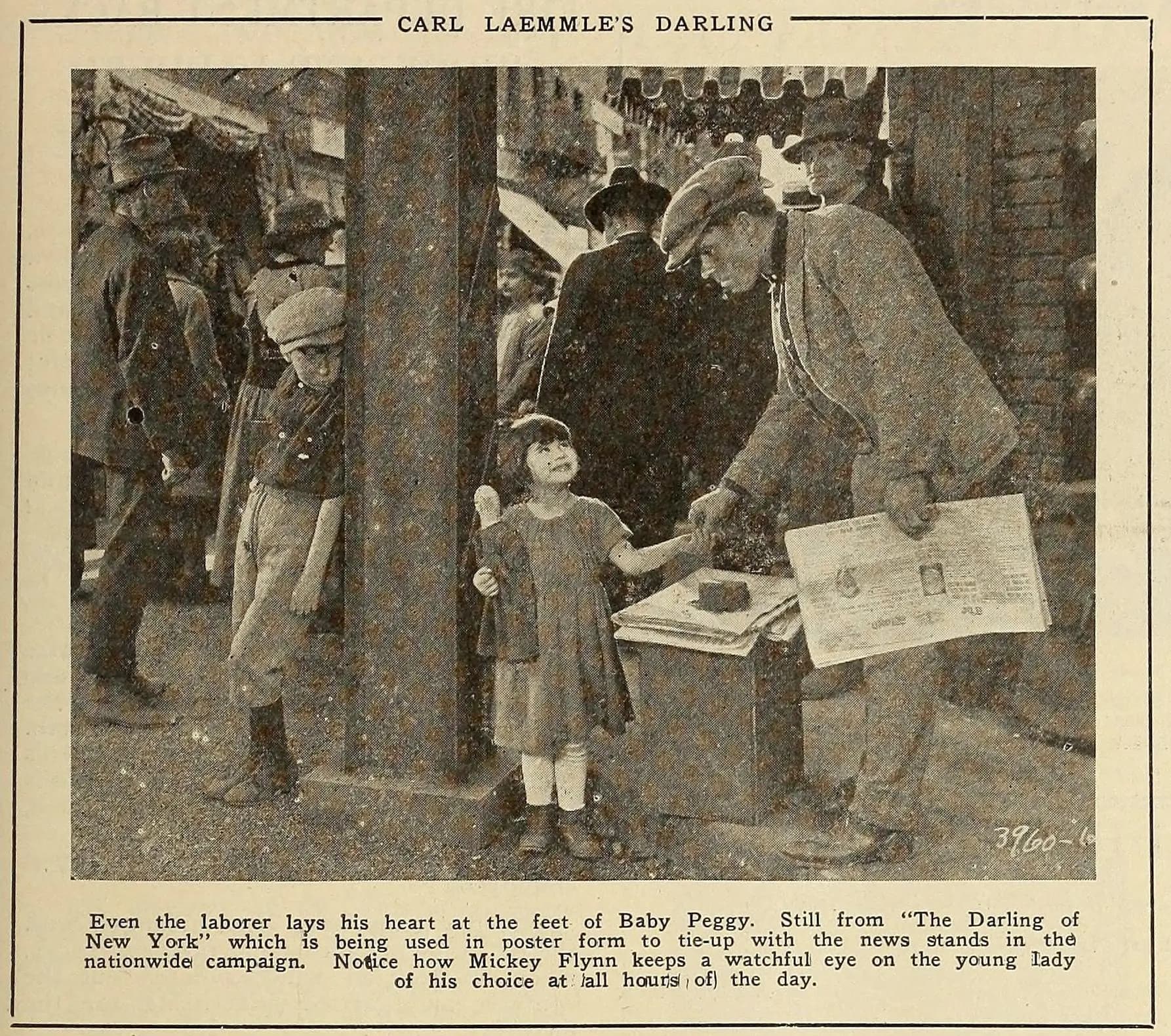 The Darling of New York photo