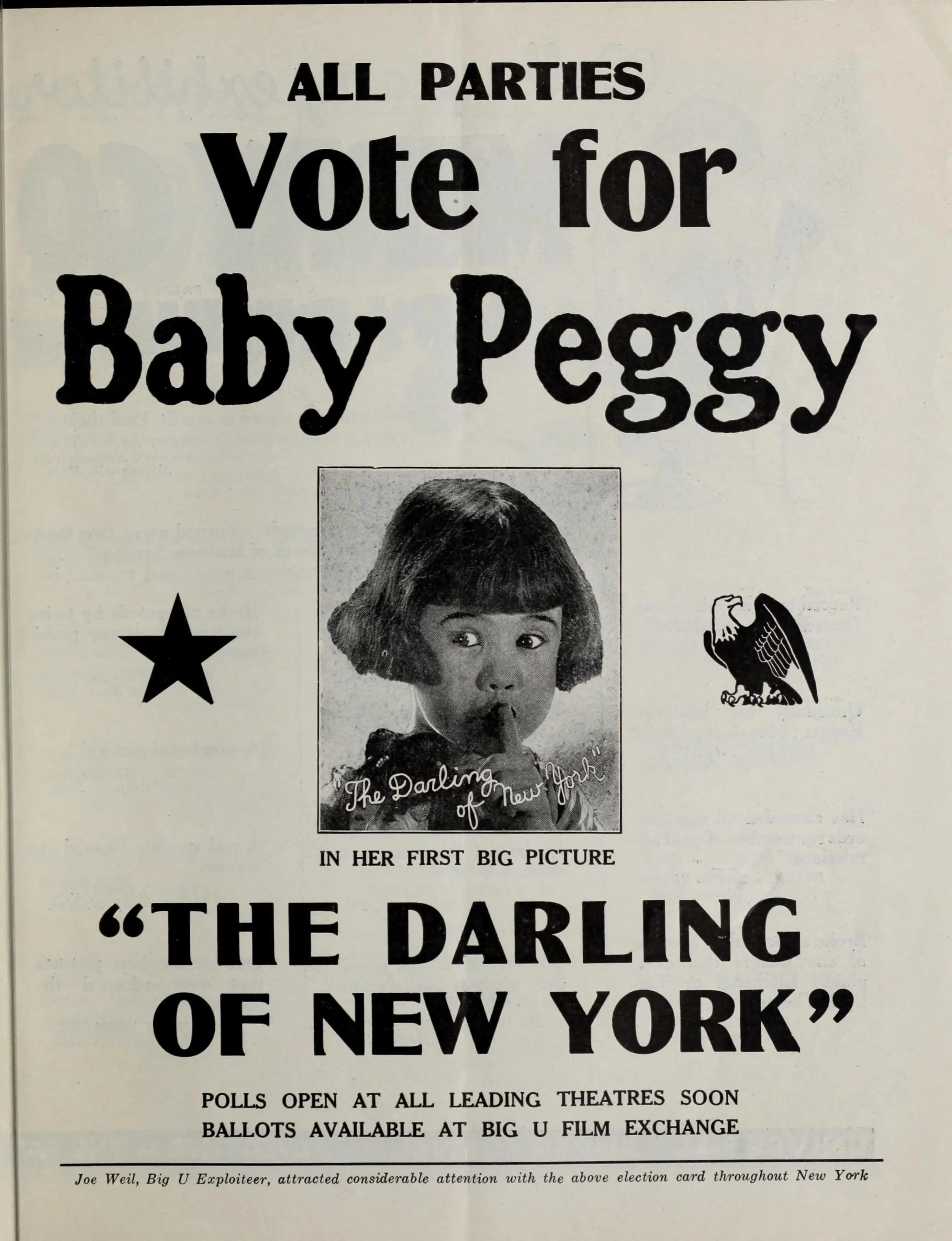 The Darling of New York photo