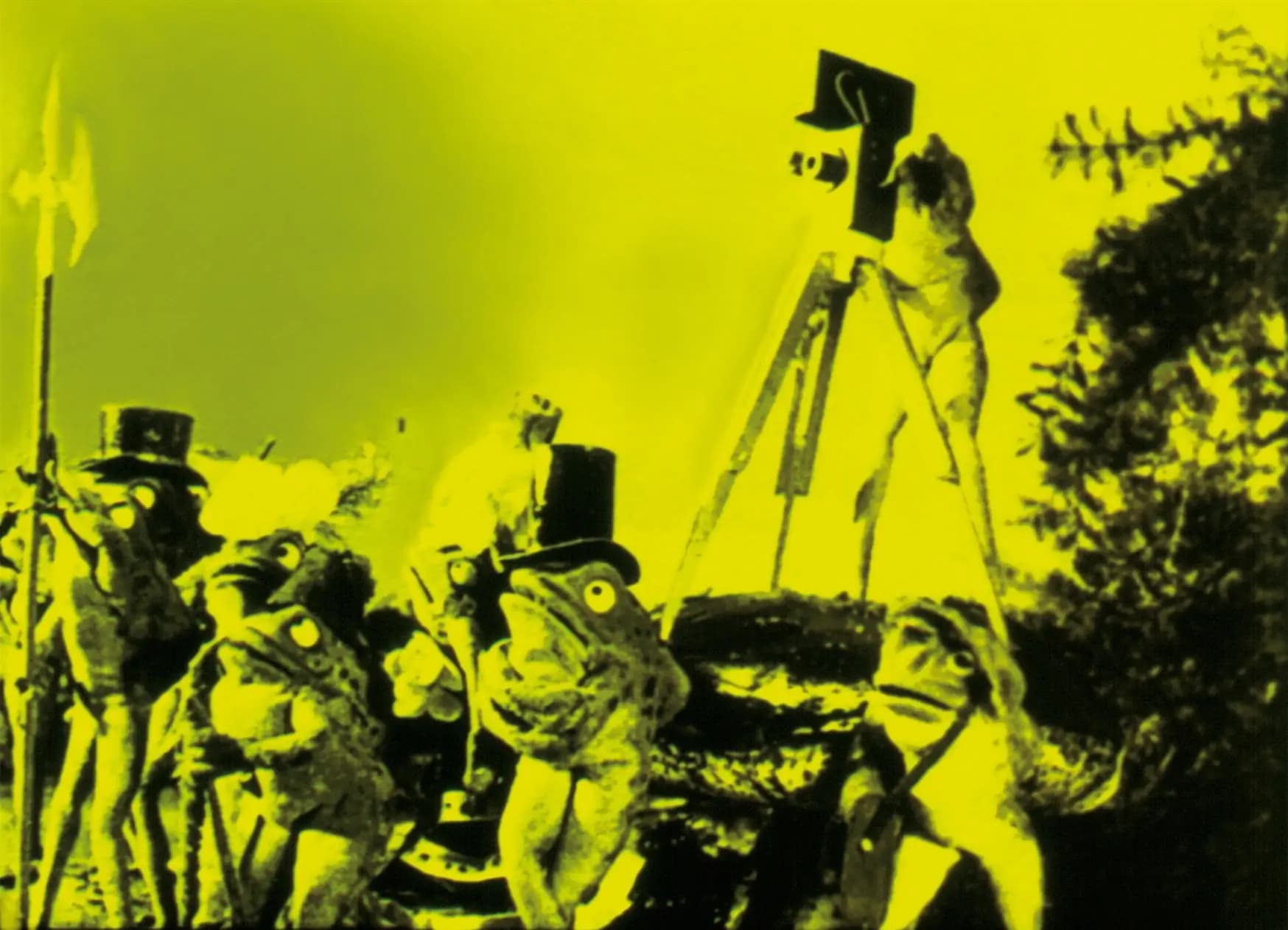 The Frogs Who Wanted a King