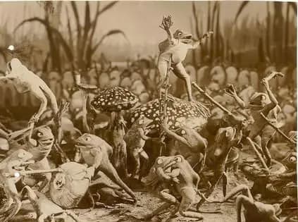The Frogs Who Wanted a King