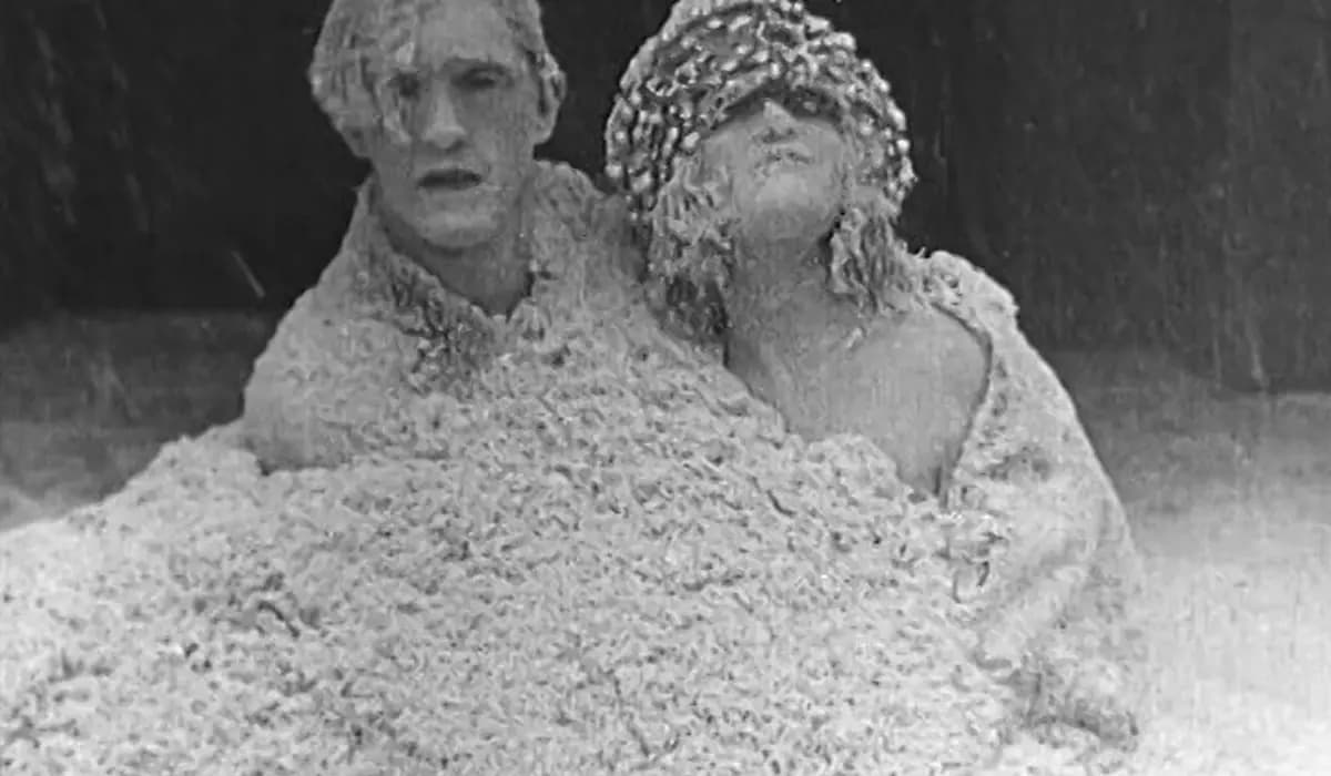 Frozen Hearts photo