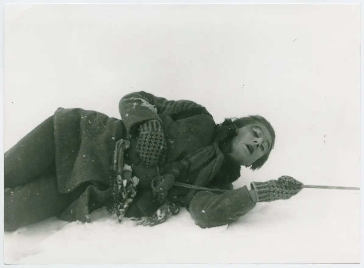 The Blizzard photo