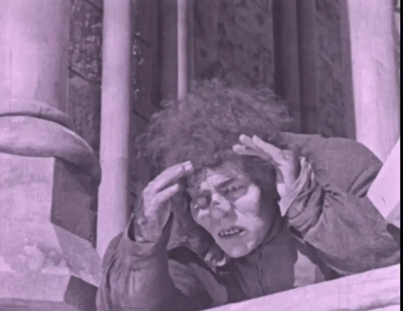 The Hunchback of Notre Dame