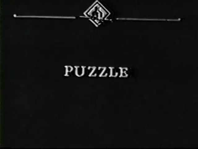 The Puzzle