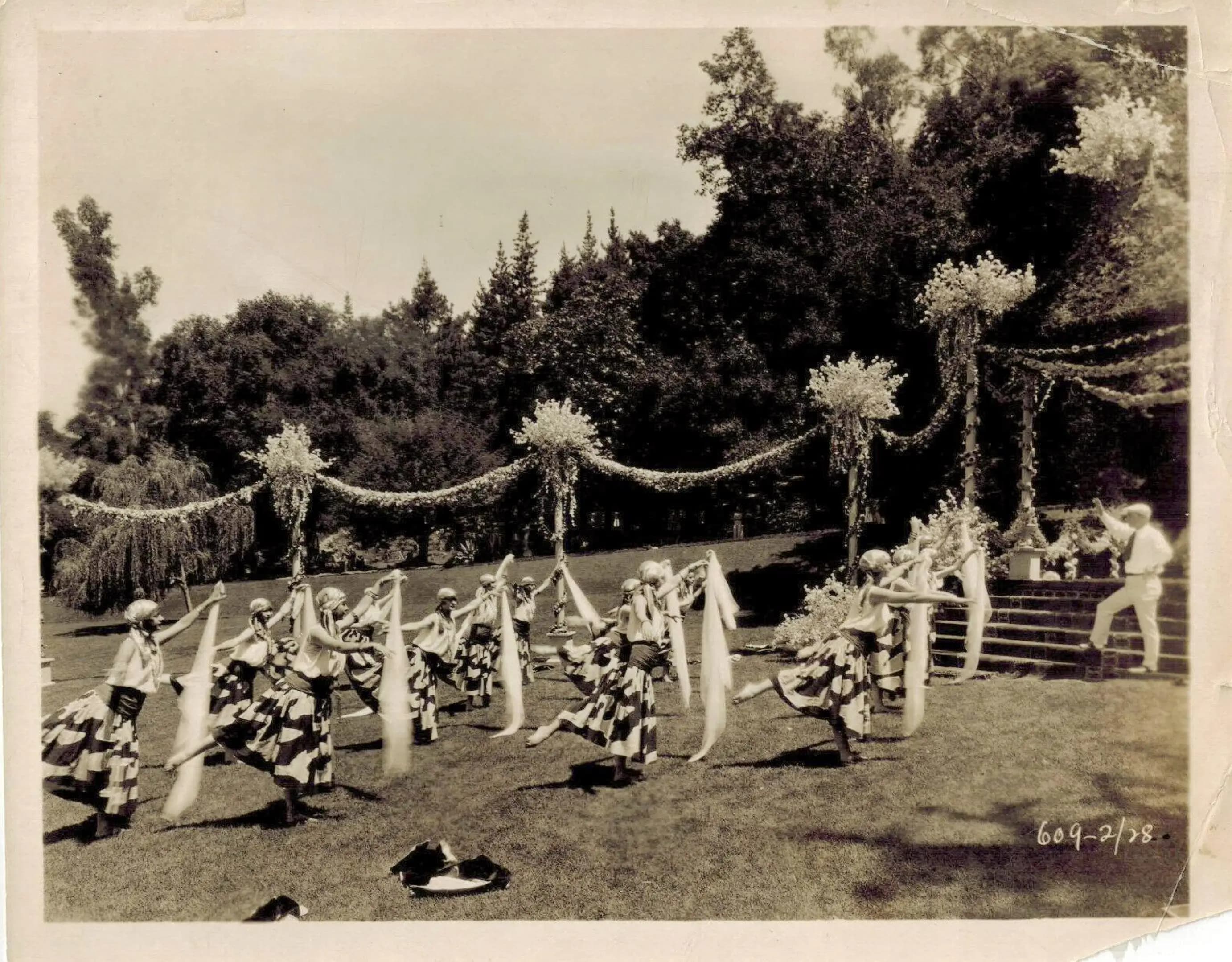 The Spanish Dancer photo