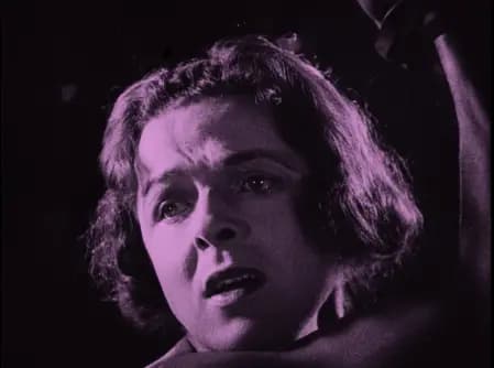 The Spanish Dancer photo