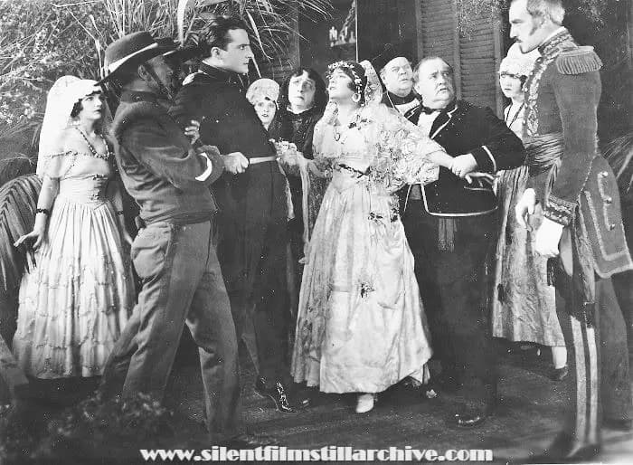 The Spider and the Rose