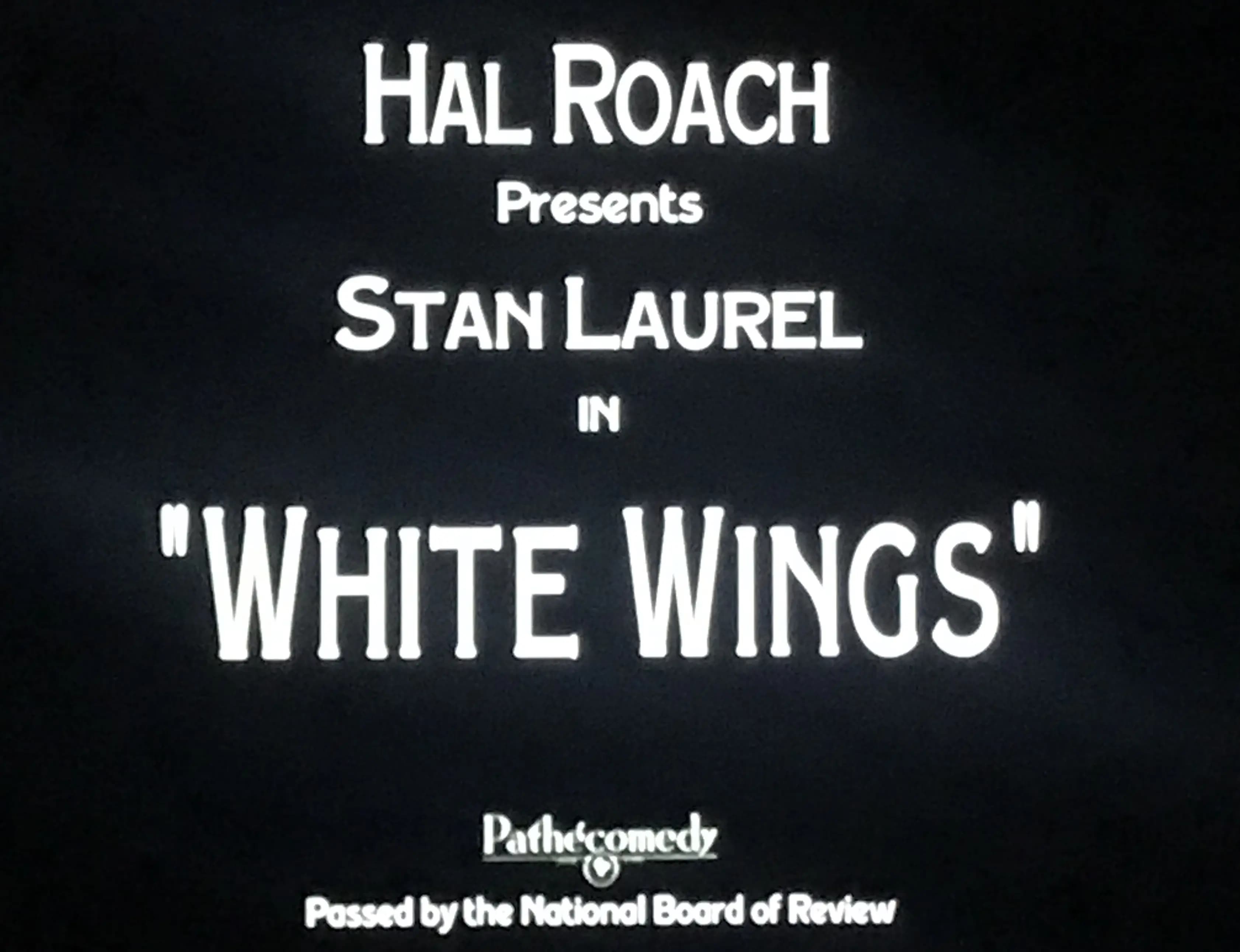 White Wings