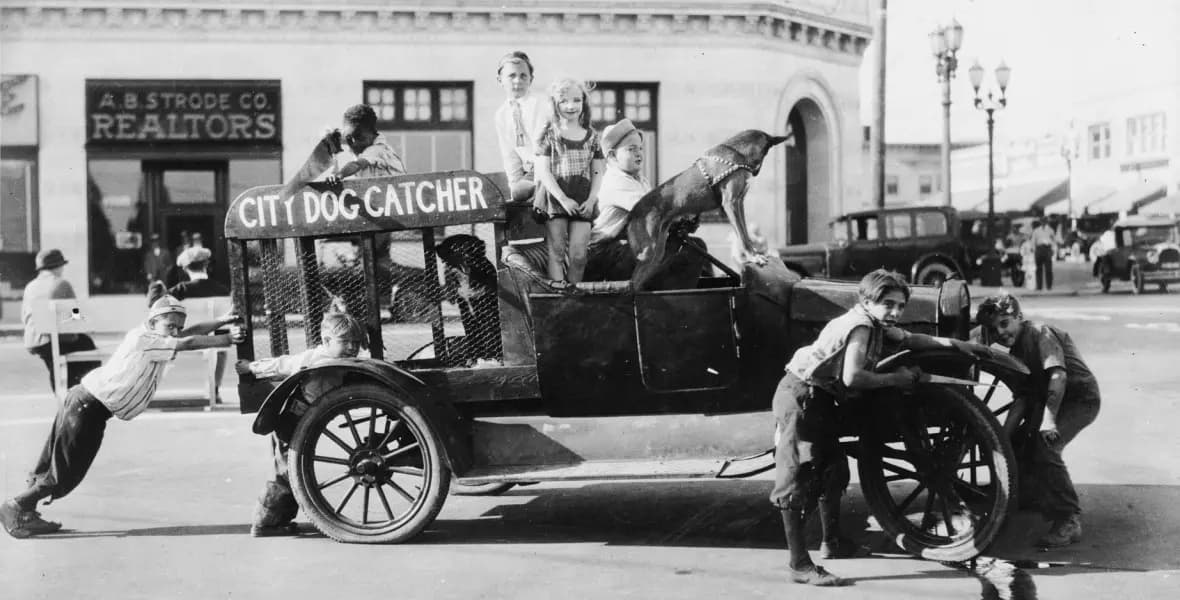 Alice and the Dog Catcher