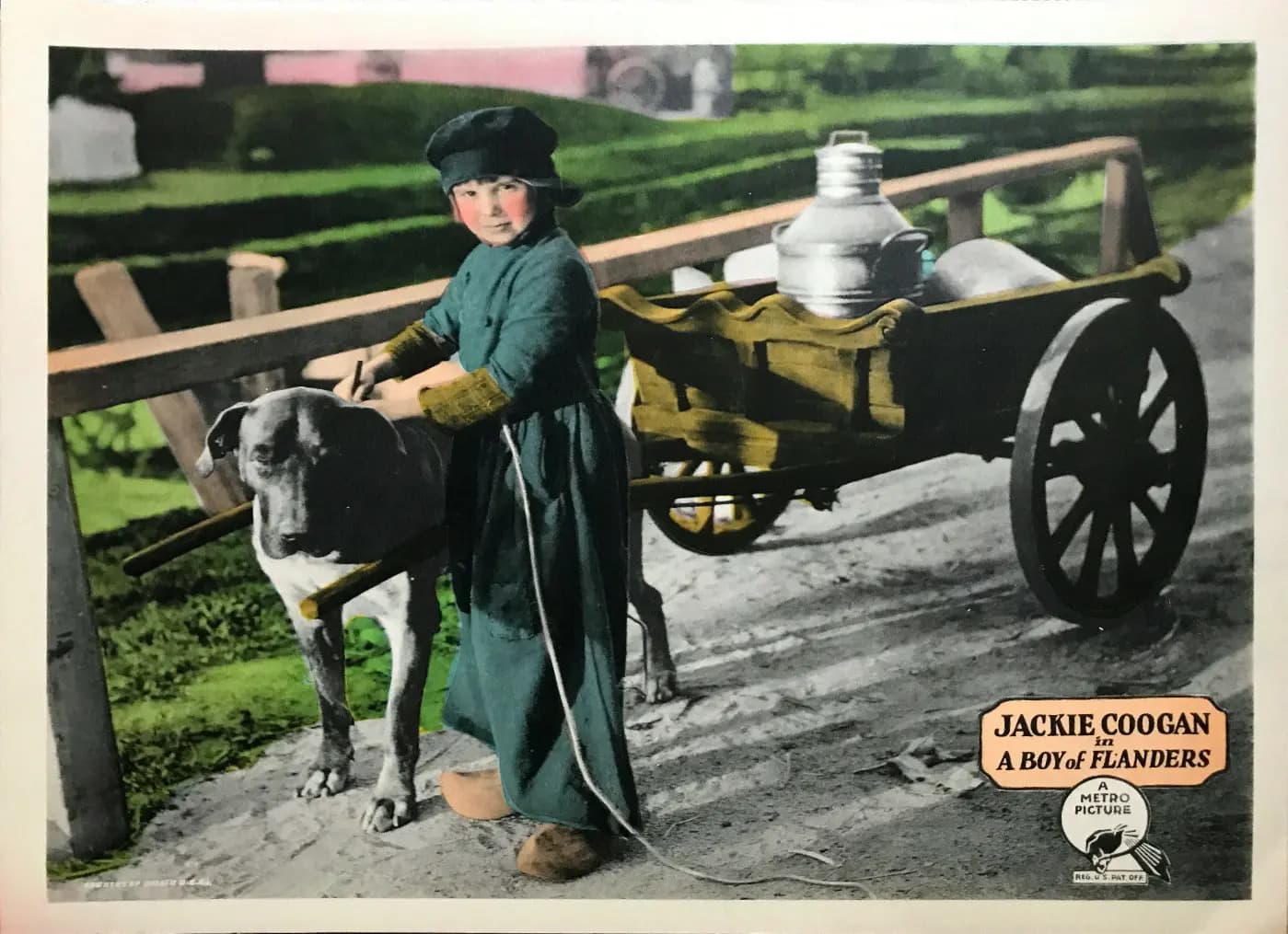 A Boy of Flanders photo