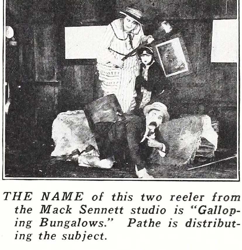 Galloping Bungalows photo