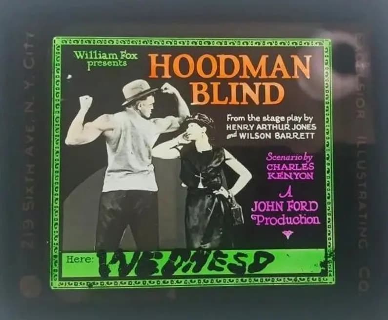 Hoodman Blind