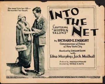 Into the Net