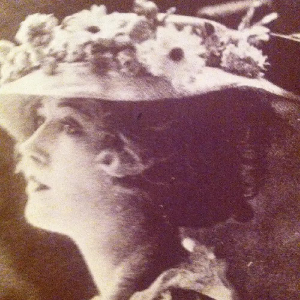 Janice Meredith