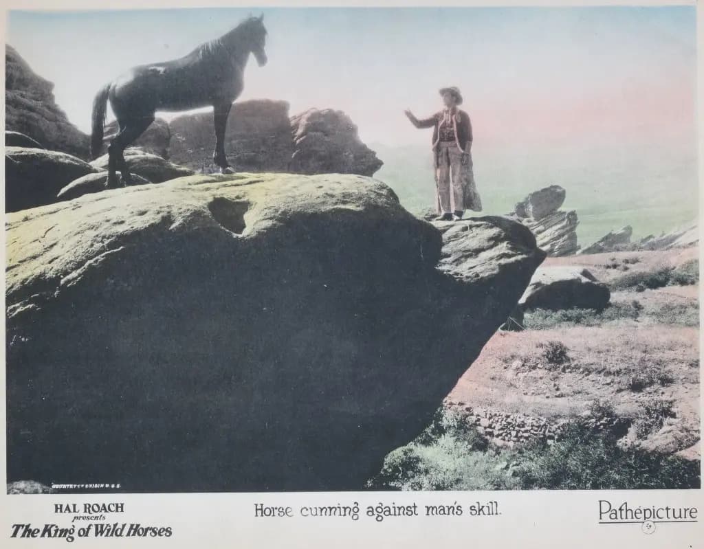 The King of Wild Horses