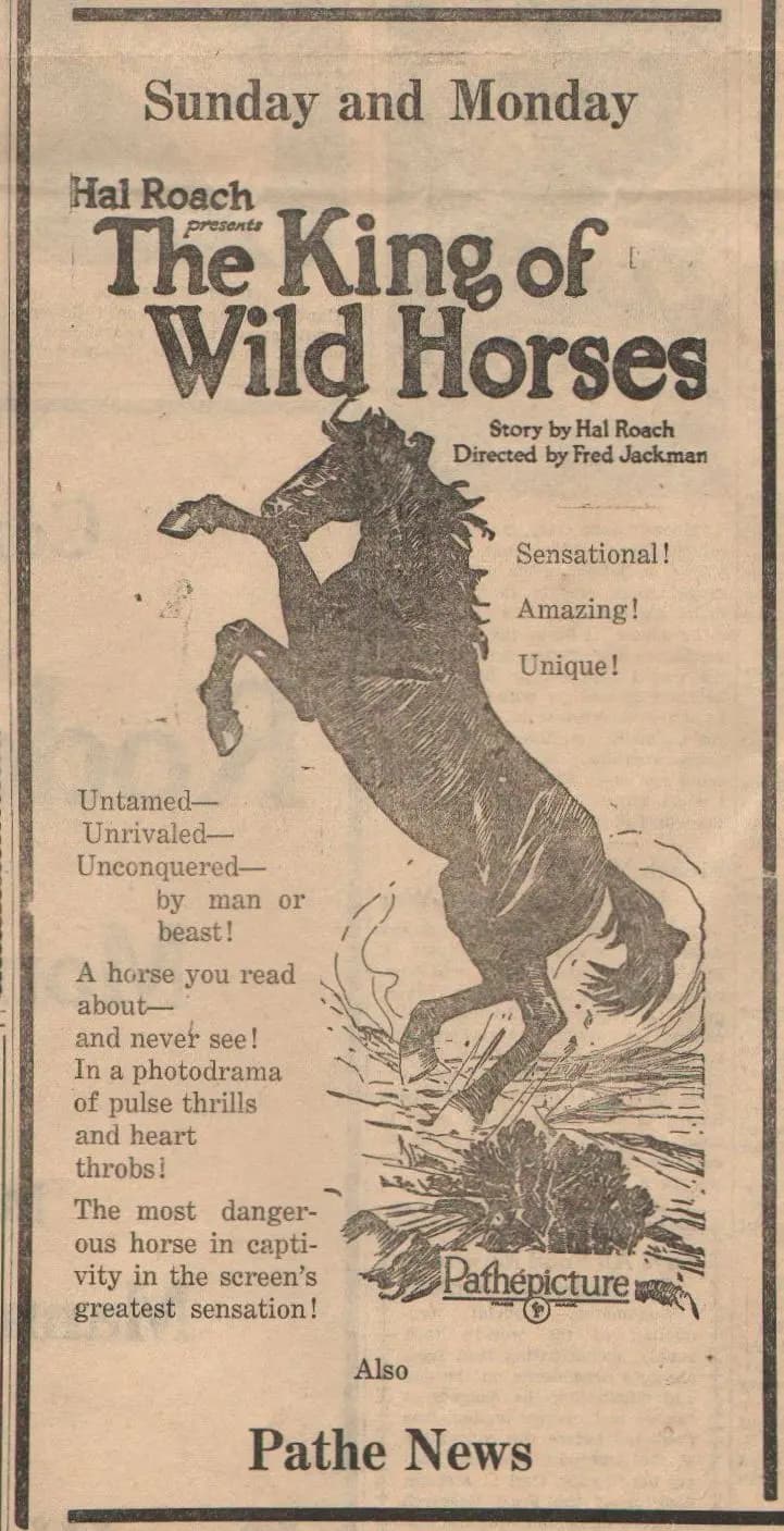 The King of Wild Horses