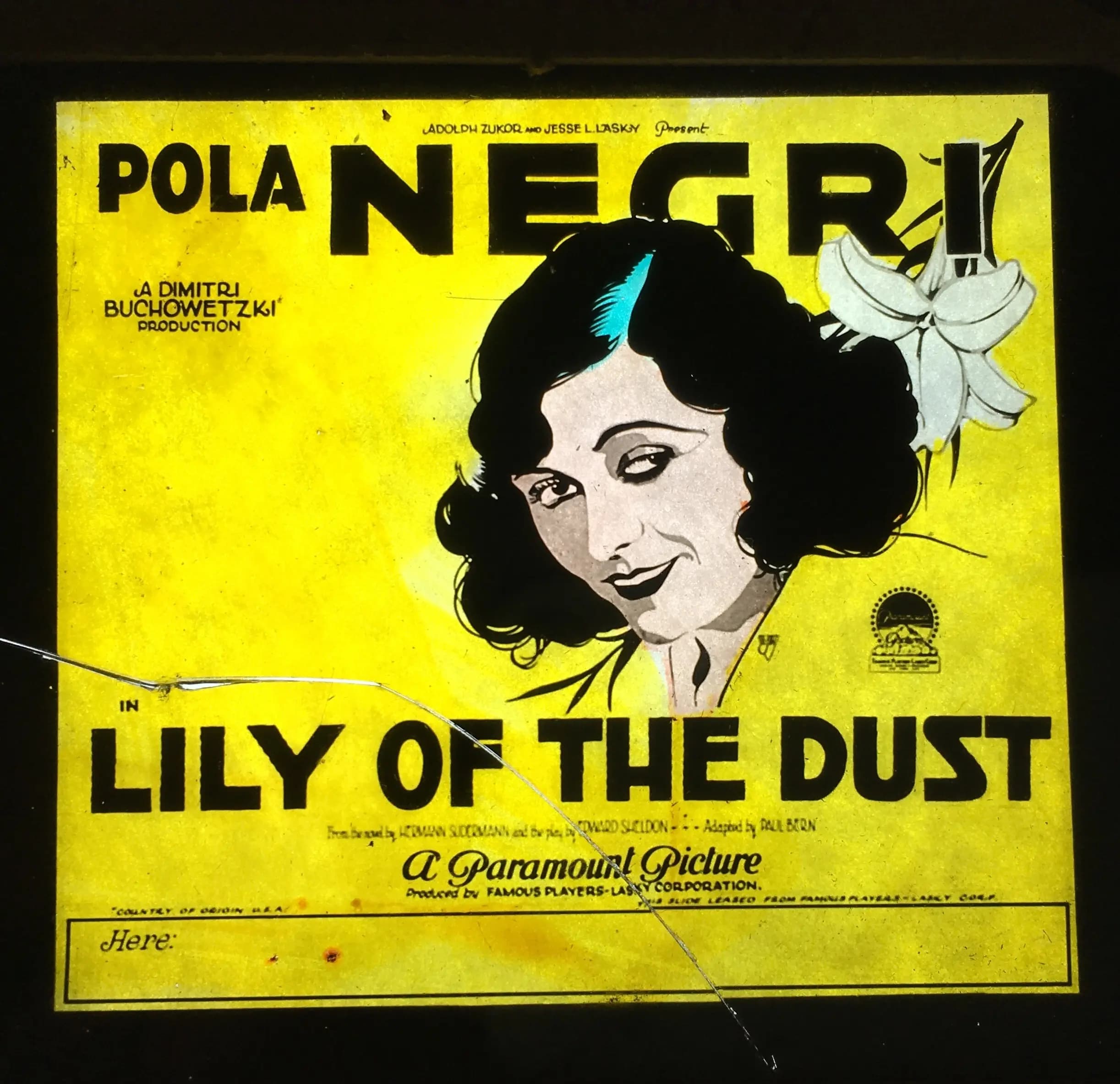 Lily of the Dust photo