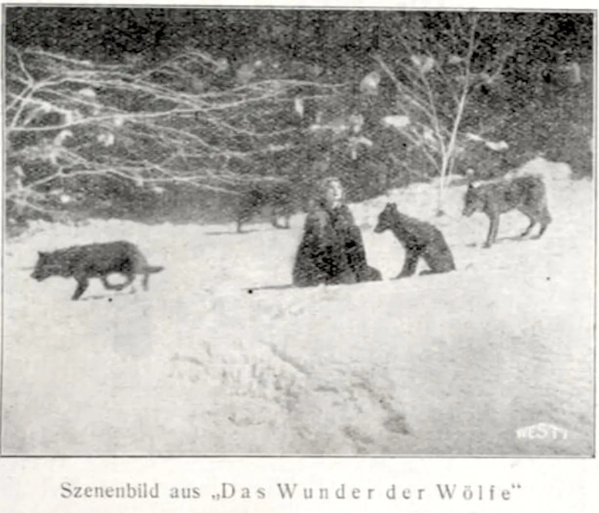 Miracle of the Wolves