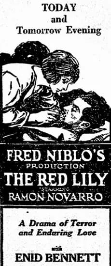 The Red Lily photo